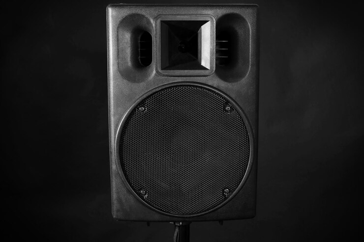 Professional PA Speaker
